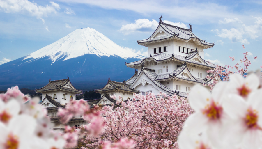 Exploring the Enchanting Allure of Japan: Sports, Nature, Food, and Culture