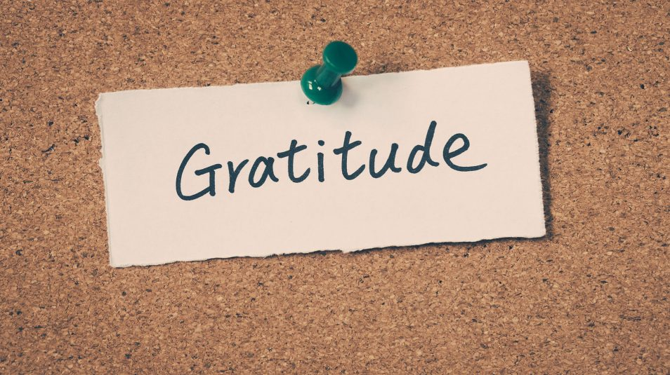 The Power of Gratitude: Cultivating a Positive Mindset for a Brighter You